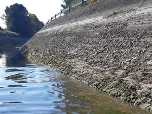 La CHE adjudica por 417.706 euros trabajos de revestimiento en el primer tramo del canal de Bardenas, entre Navarra y Zaragoza